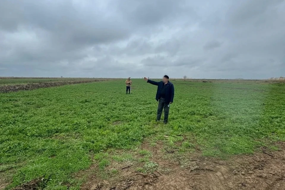 На Ставрополье осудили фермера за мошенничество с субсидиями на 9,3 млн рублей0