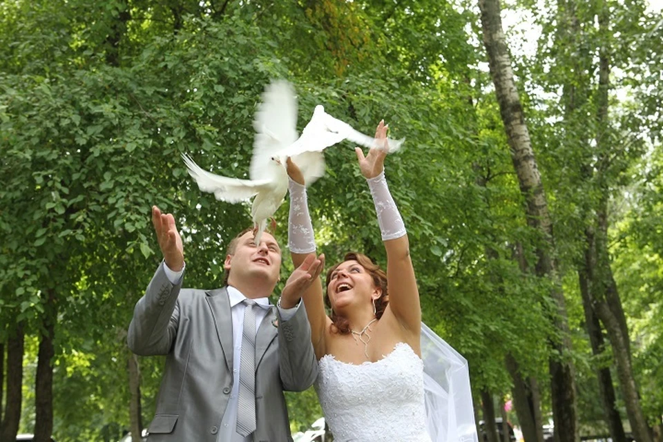 На Ставрополье стартовал приём заявлений на свадьбы в День России в 2026 году0