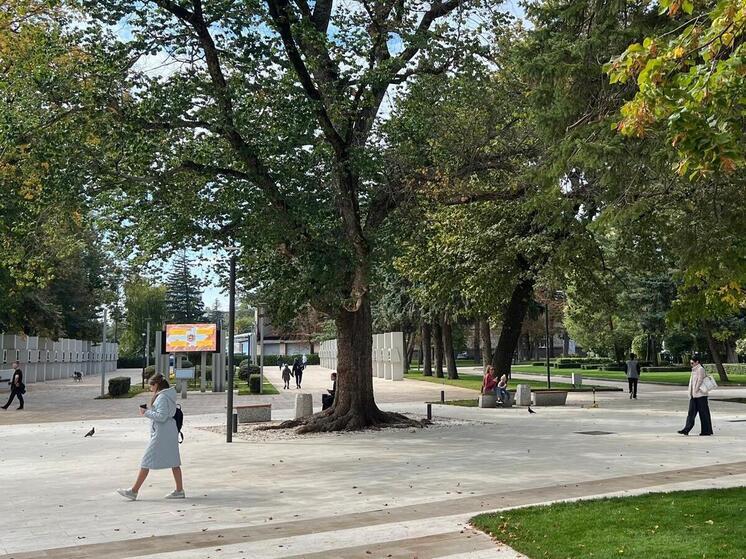 На Ставрополье в 2025 году ярмарки трудоустройства предоставили 30 тысяч вакансий