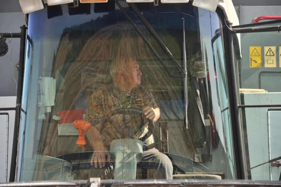 На Ставрополье в четыре раза увеличили площади посевов чечевицы0