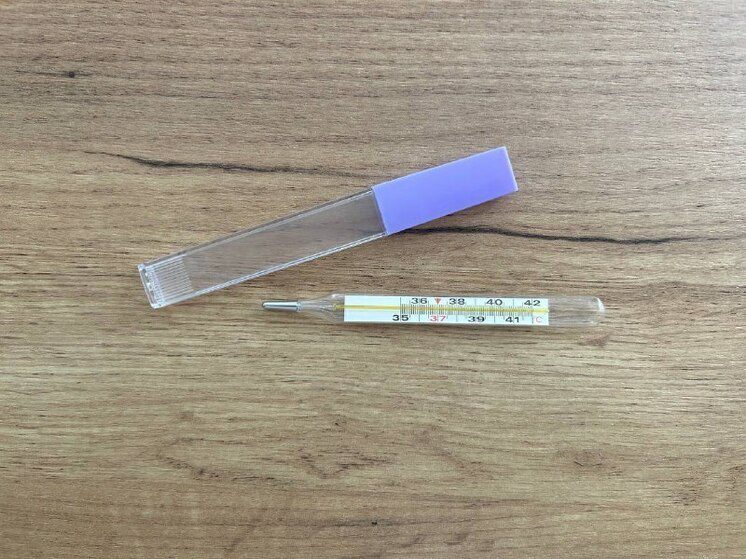 На Ставрополье за неделю выросла заболеваемость ОРВИ и гриппом