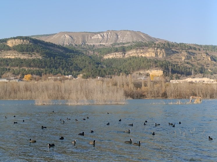 На Ставрополье завершился сезон охоты на ряд видов пернатой дичи