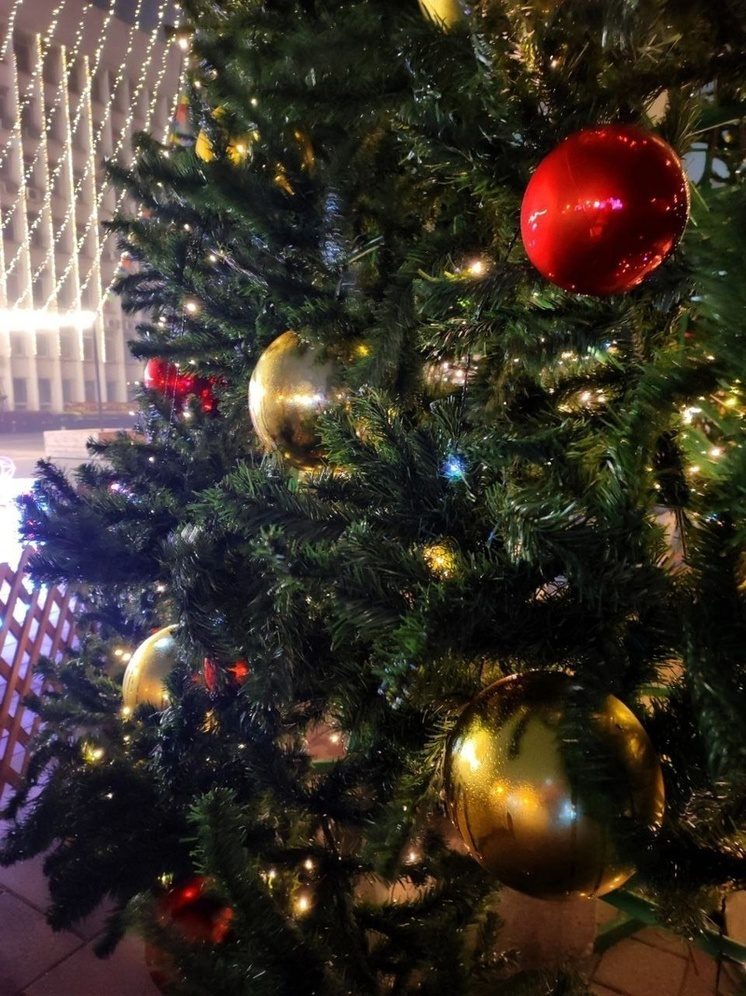 Нальчик активно готовится  к Новому году