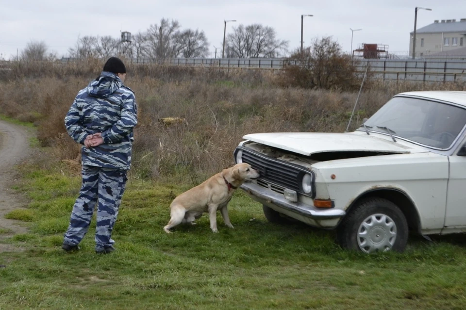 Нашли пустую машину: чем завершились поиски грибника на Ставрополье0