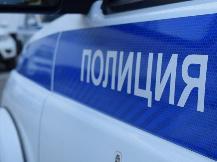 Нетрезвая жительница Ингушетии напала с ножом на невестку