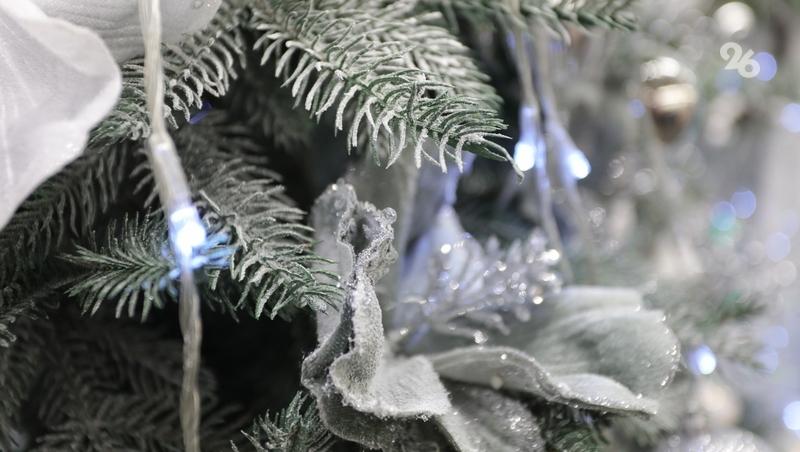 Обращение ставропольчанки помогло её ребенку с ОВЗ попасть на главную ёлку края