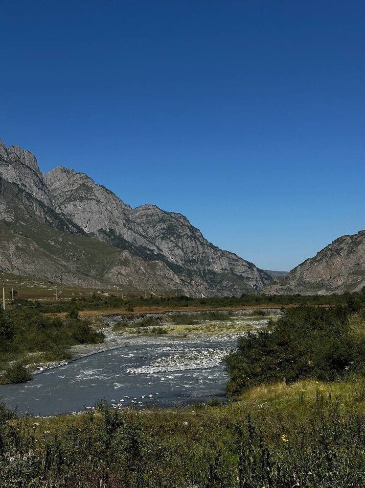 «Охотник» Осетинской академии кинематографа удостоен награды Гильдии киноведов и кинокритиков