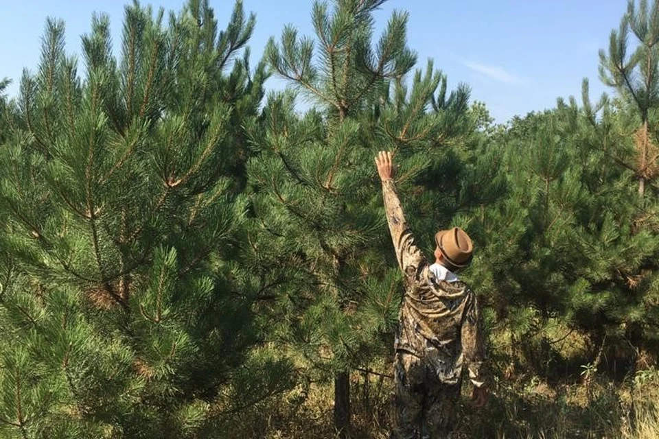 Перед Новым годом на Ставрополье усилят патрулирование лесов0