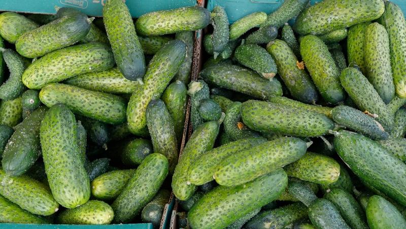 Первая зимняя ярмарка в Пятигорске состоится 13 декабря