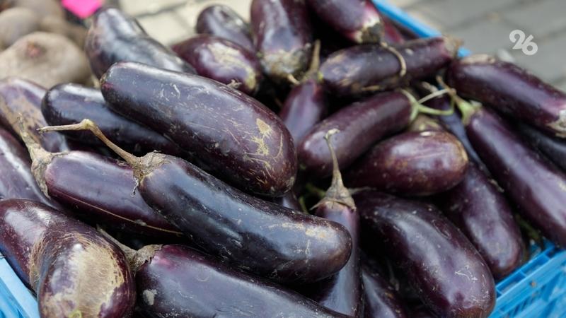 Первые зимние ярмарки пройдут в Ставрополе 6 и 7 декабря