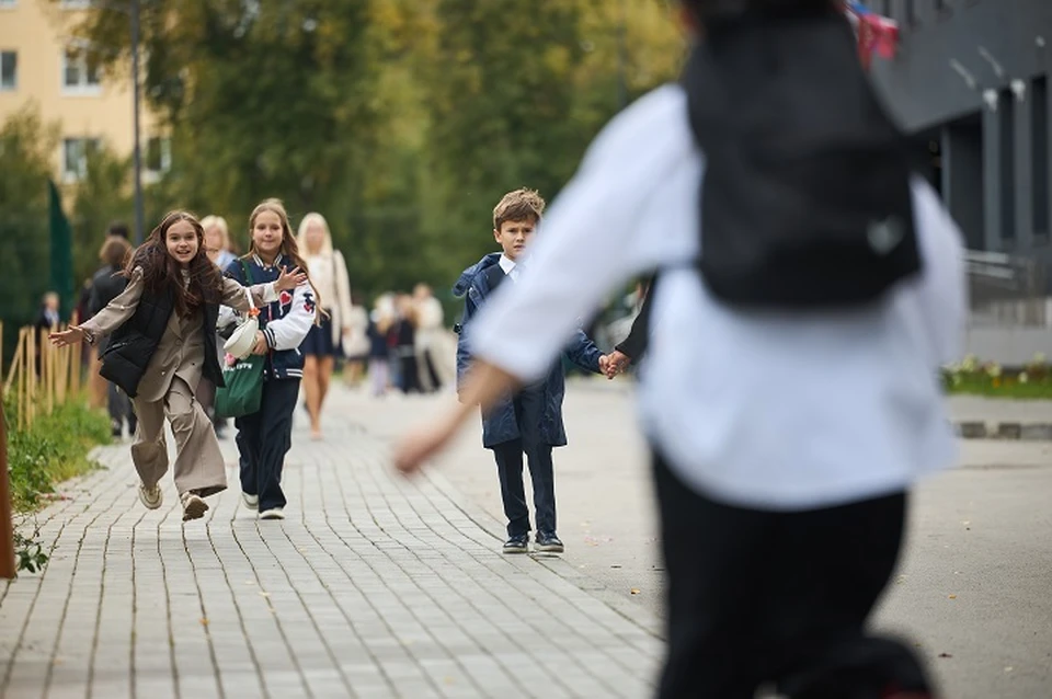 Пять школ Ставрополя были отмечены на федеральном уровне0