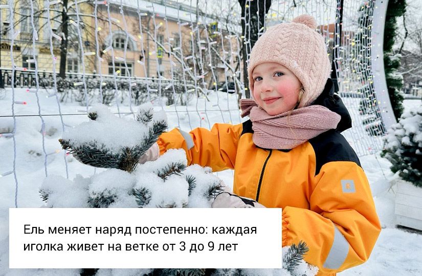 Почему снег хрустит, а заяц меняет цвет: что отвечать на вопросы детей о зиме5