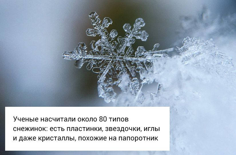Почему снег хрустит, а заяц меняет цвет: что отвечать на вопросы детей о зиме3
