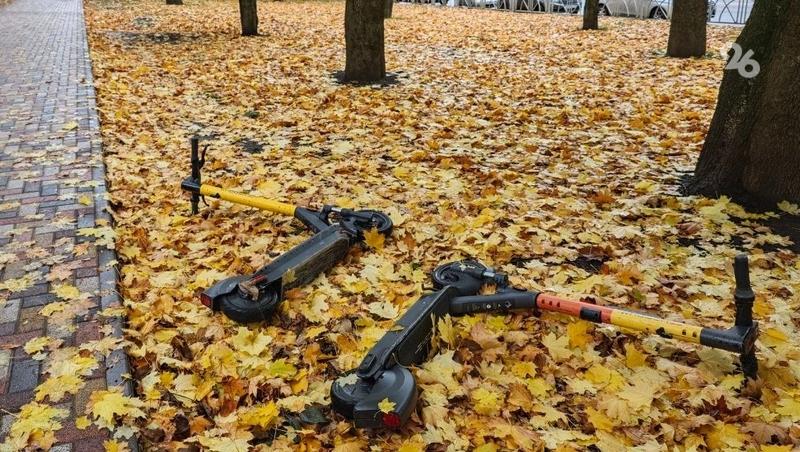 Повторное голосование о работе электросамокатов проведут на Ставрополье в январе