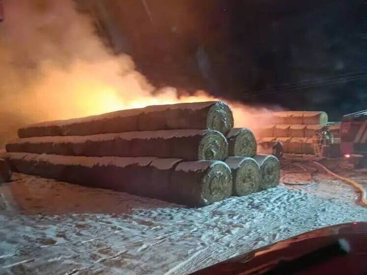 Пожарные потушили крупное возгорание рулонов сена в Туркменском округе