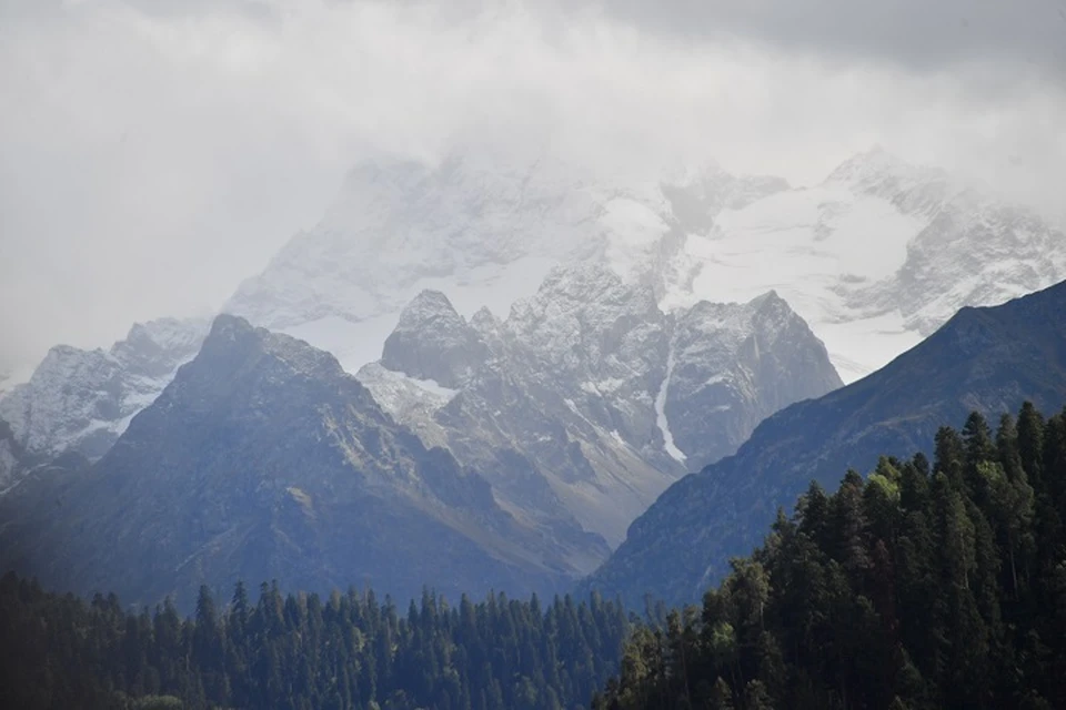 Прокуратура КЧР требует изъять землю на 500 млн рублей в курортной зоне Архыза0