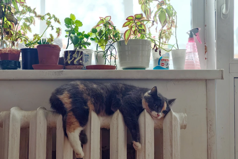 Прокуратура начала проверку после отключения отопления в Кисловодске0