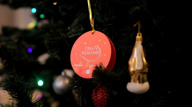 Ректор СтГАУ исполнил новогодние мечты трех ставропольских детей1