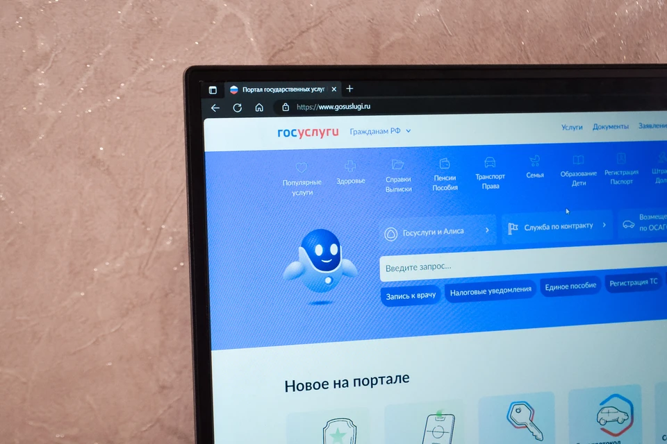 Родион из Лермонтова стал 15000 ребенком, зарегистрированным через Госуслуги0