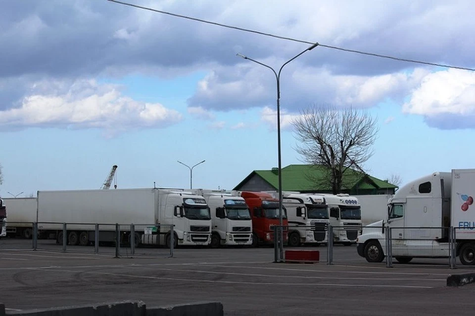 Россельхознадзор Дагестана обнаружил 69 тонн заражённых овощей и фруктов0