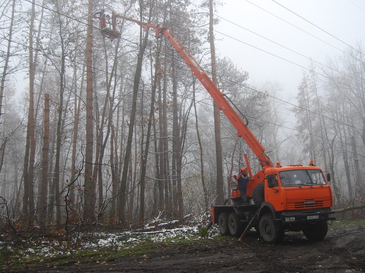 «Россети Северный Кавказ» расчистили от поросли более 32 га трасс линий электропередачи в Северной Осетии