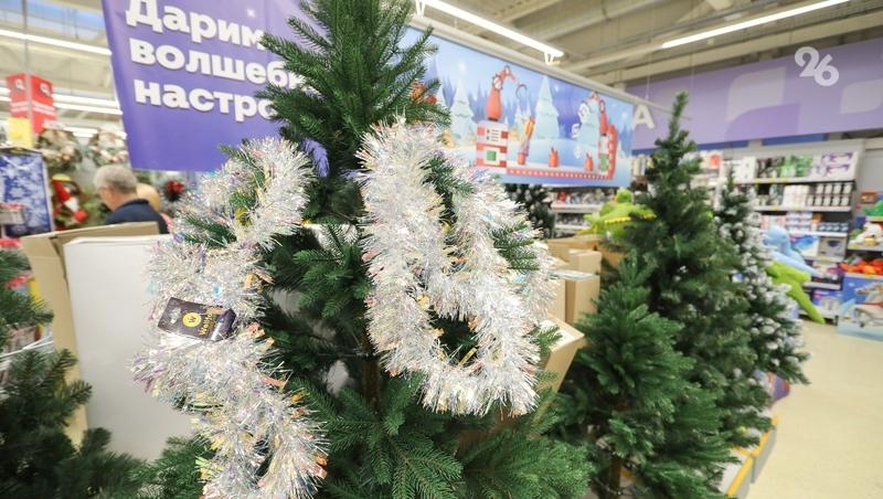 Россиянам напомнили об административной ответственности за вырубку елей