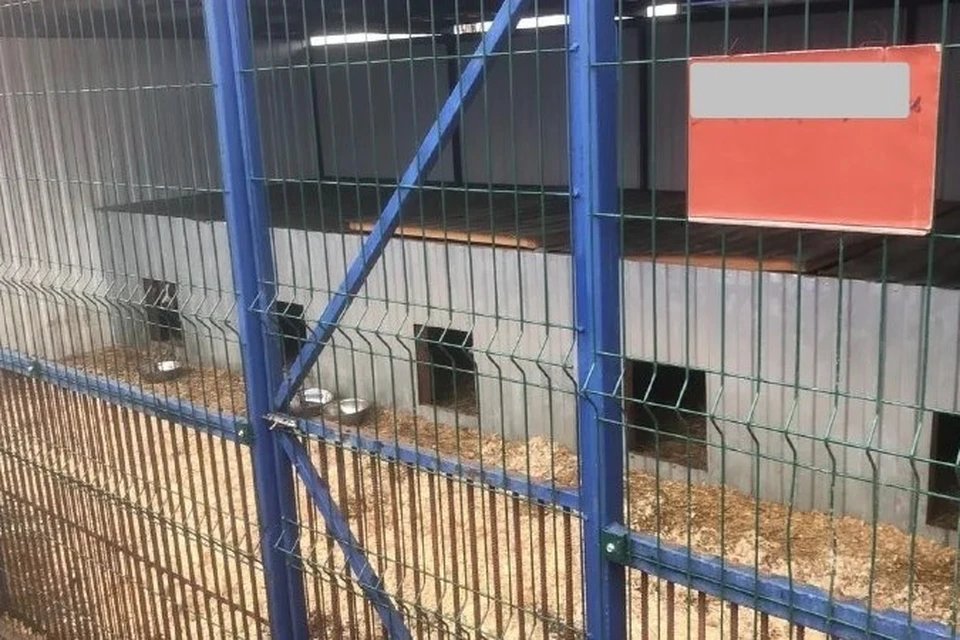 Руководителя пункта временного содержания животных оштрафовали на Ставрополье0