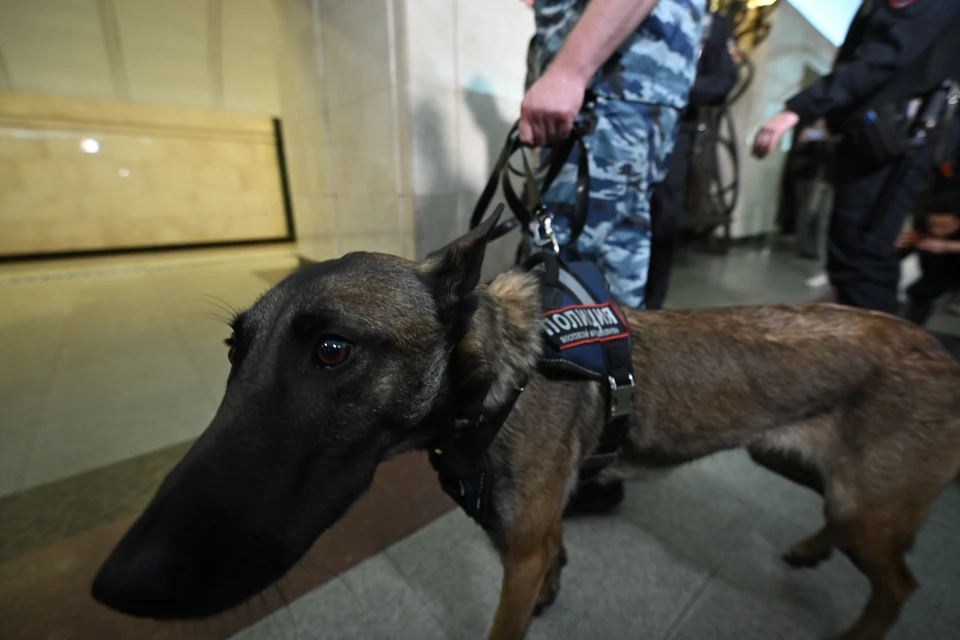 Сообщение о минировании трех санаториев проверяют в Кисловодске0