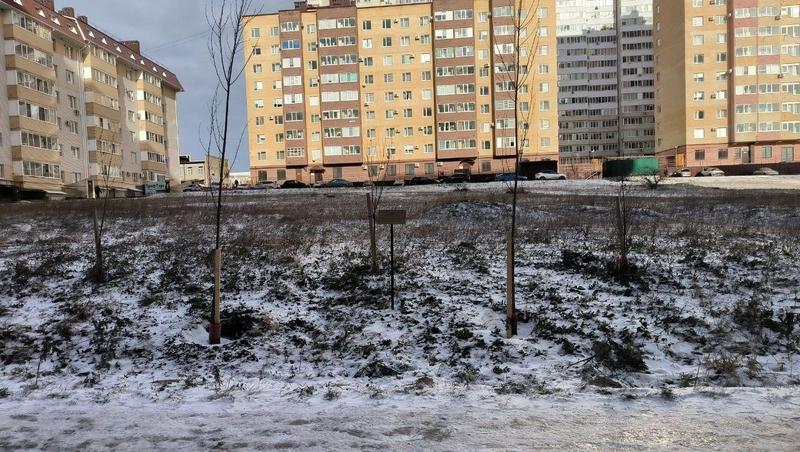 Ставропольцы активно поддерживают идею о создании сквера Горбачёва &mdash; экоактивист