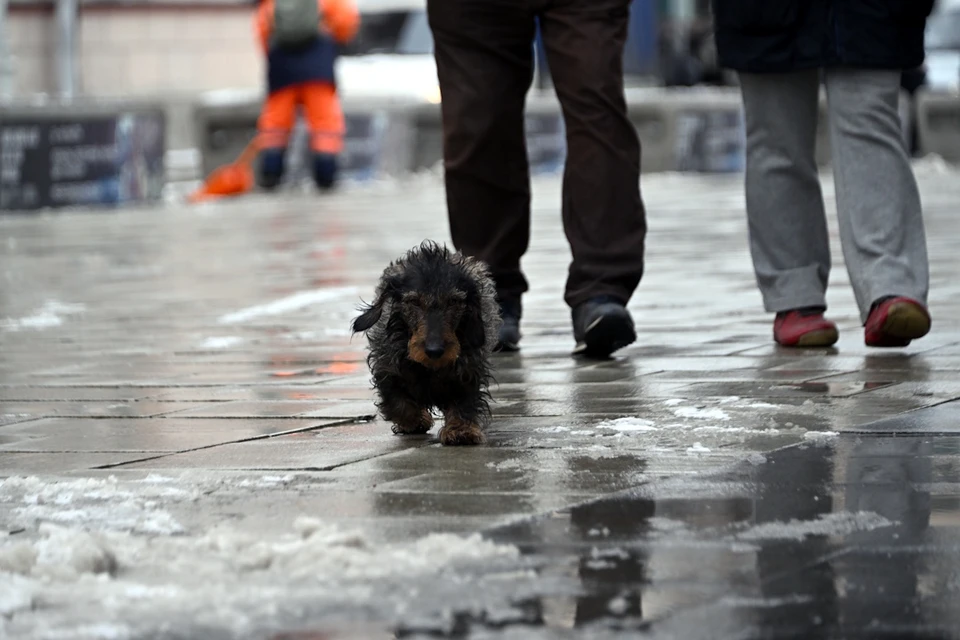 То плюс, то снег: погодные качели ждут ставропольцев в начале неделе0