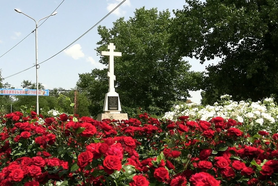 В Благодарненском округе Ставрополья высадили 450 кустов роз0