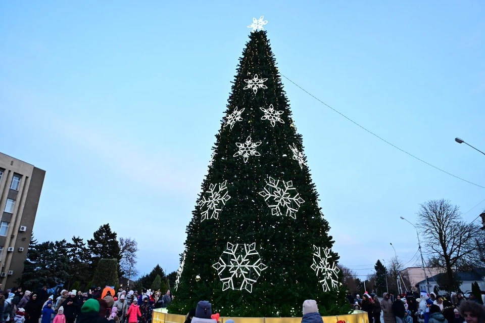 В Буденновске на Ставрополье открыли главную новогоднюю елку округа0