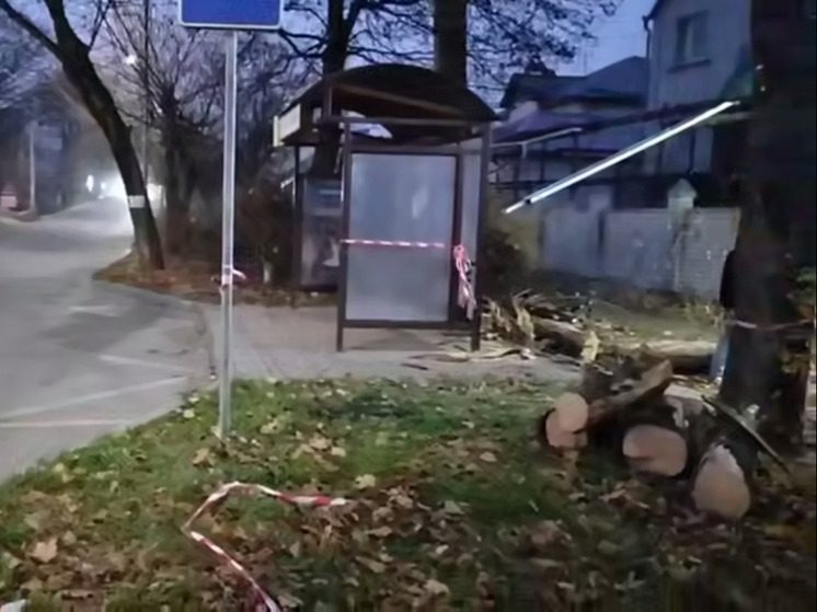 В Ессентуках устраняют последствия сильного ветра