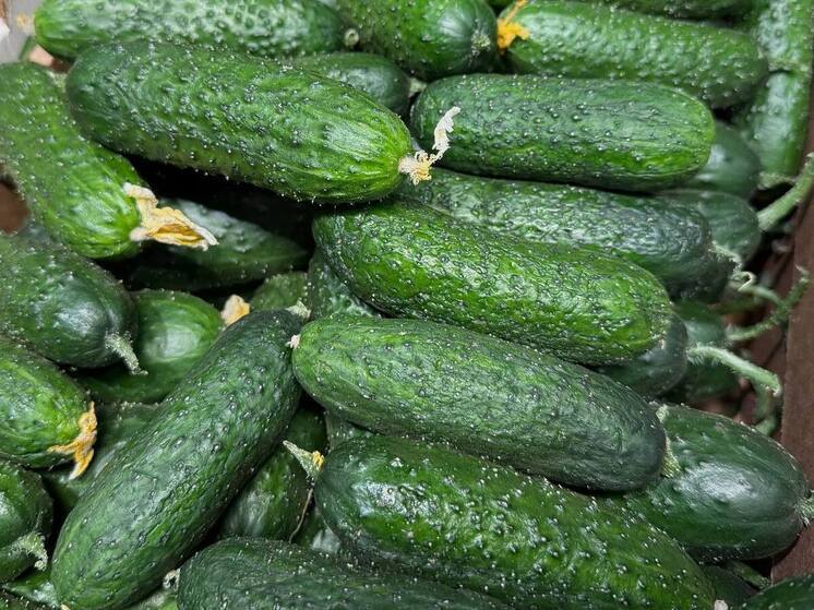 В Ингушетии усилен ежедневный контроль цен на продукты перед Новым годом