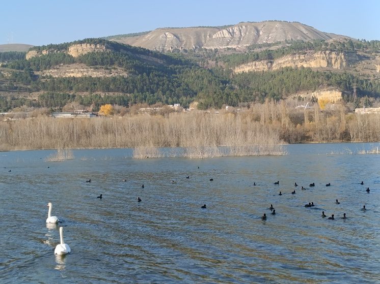 В Кисловодске стартовал этап проектирования Нового озера