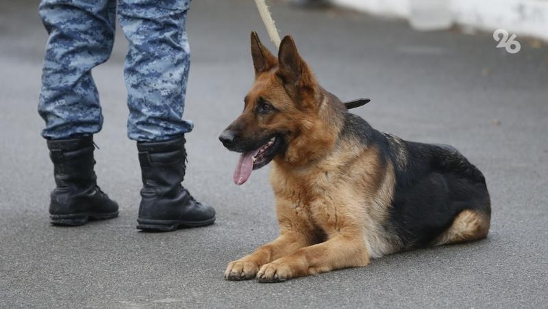 В кисловодском санатории &laquo;Плаза&raquo; не нашли взрывных устройств