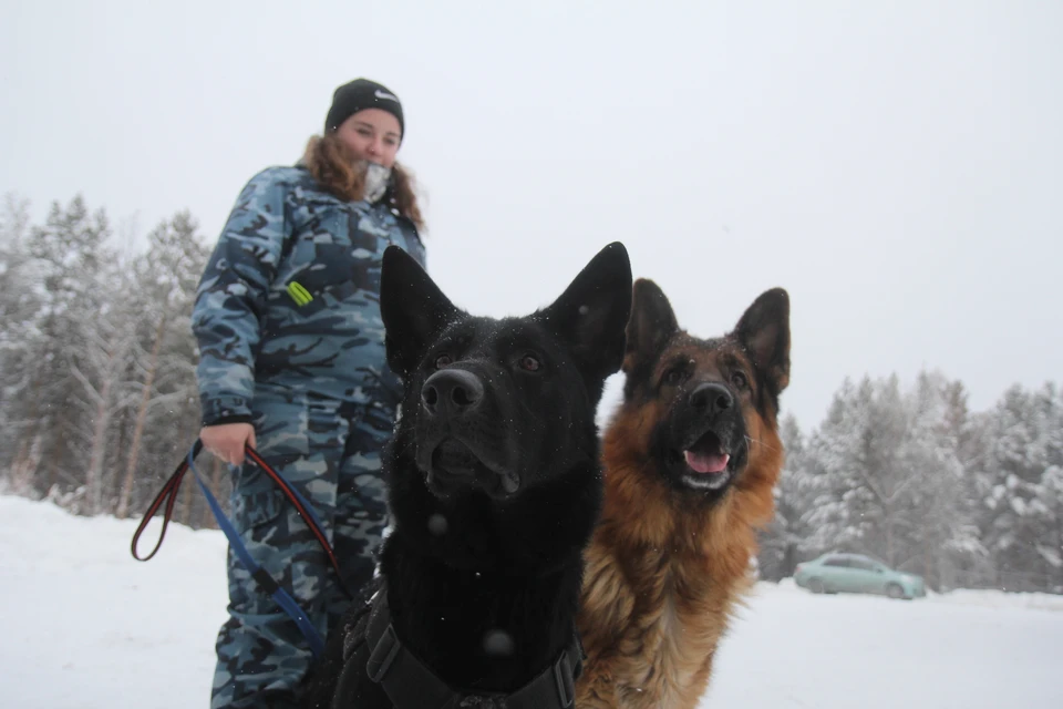 В Михайловске на Ставрополье эвакуировали школу №250