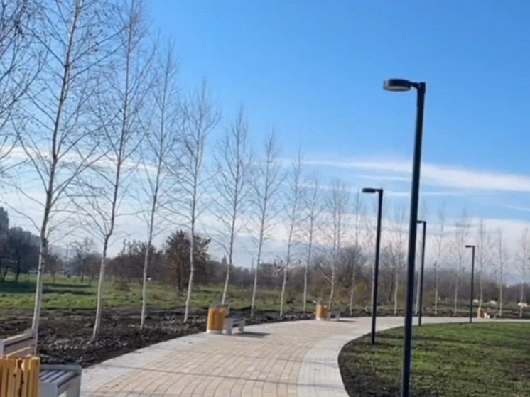 В Нальчике высадили более 700 новых деревьев