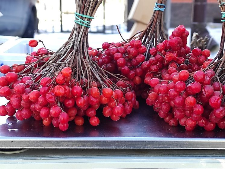В Назрани откроется зимняя ярмарка