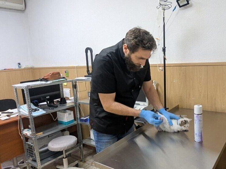 В Назрани открылась новая современная ветеринарная клиника