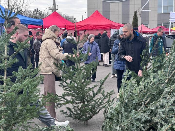 В Невинномысске развернулась большая предновогодняя ярмарка  Ставрополь (Кавказ)1