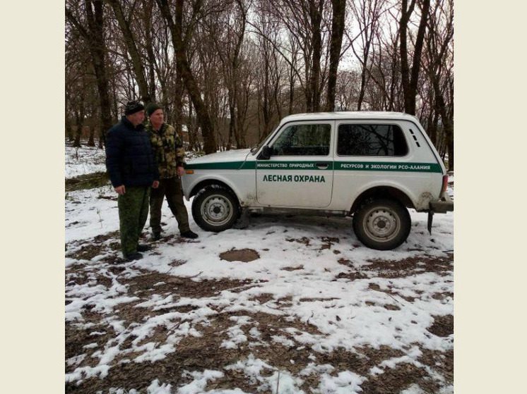 В Северной Осетии усилили меры по охране хвойных лесов перед Новым годом
