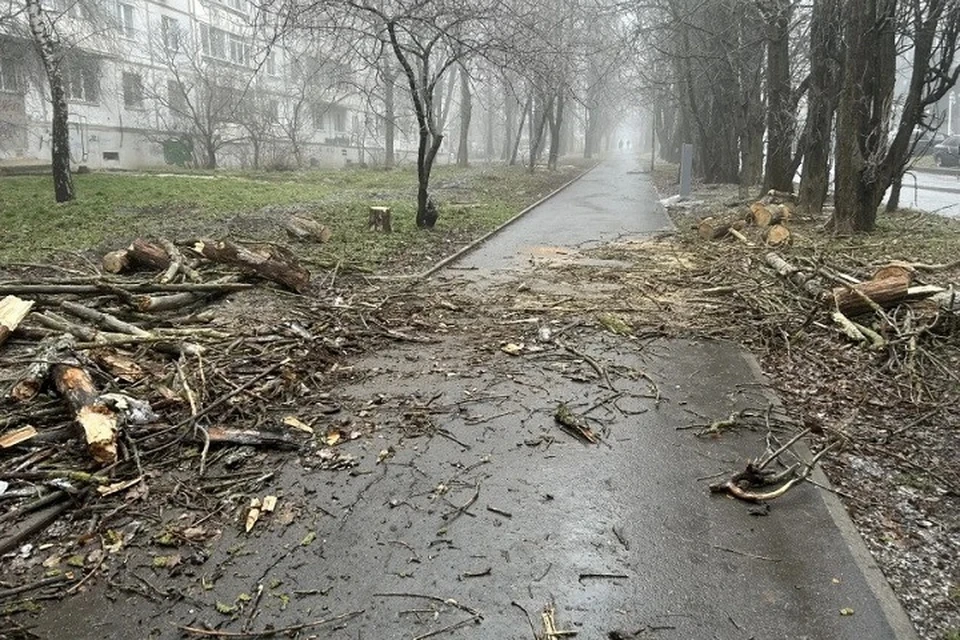 В Ставрополе штормовой ветер оставил без электричества более 1,2 тысячи человек0