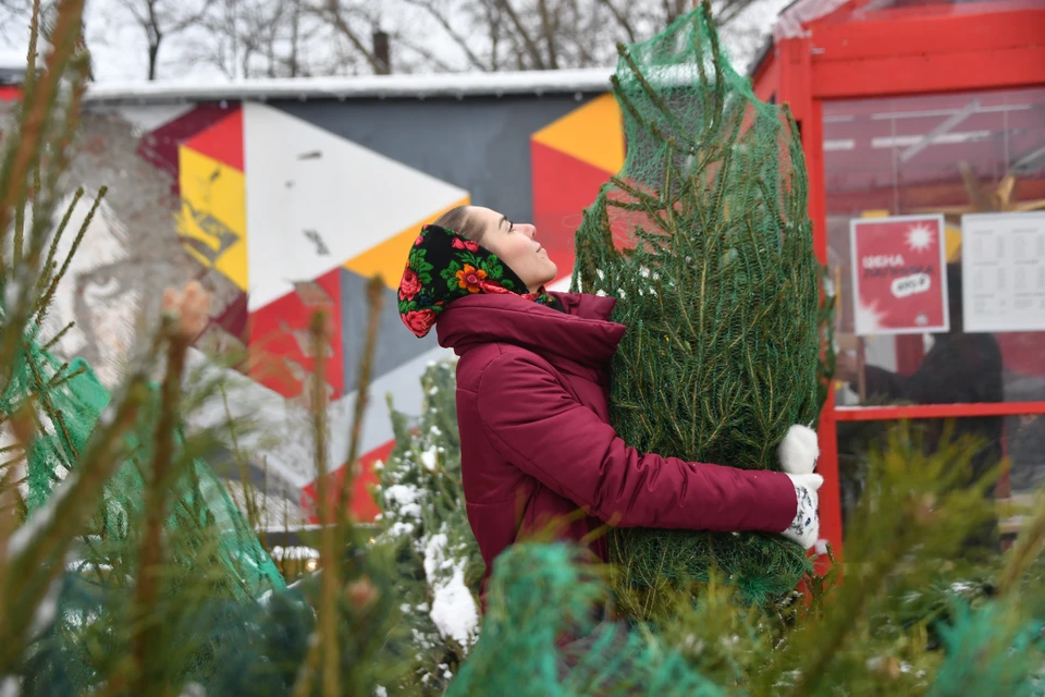 В Ставрополе в преддверии Нового года заработают 15 елочных базаров0