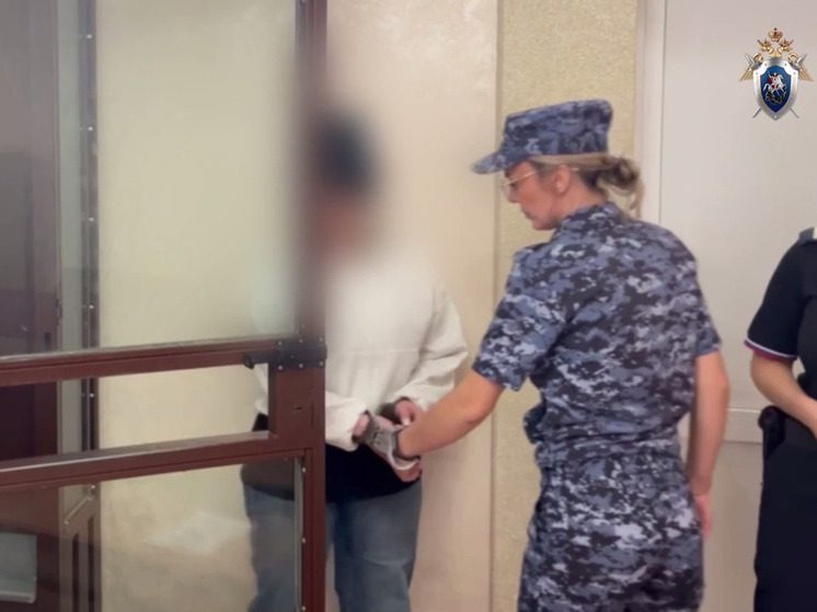 В Ставропольском крае адвоката и её сообщника обвиняют в мошенничестве с землёй на 69 млн рублей