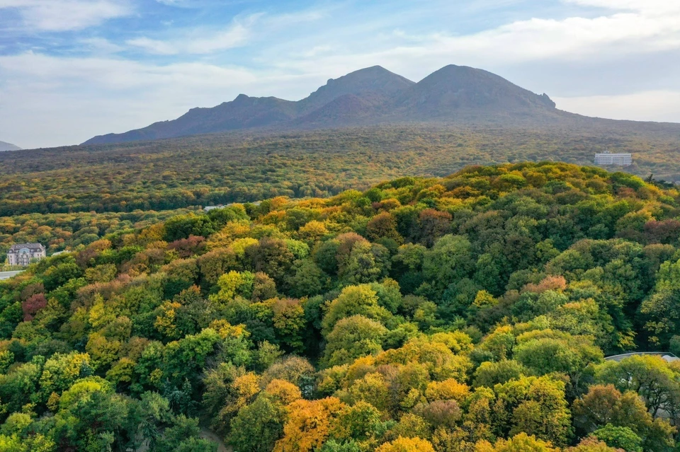 В железноводском лесу начали работать фотоловушки0