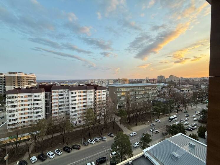 Водитель, овощевод, повар: какие профессии возглавят ТОП-10 на Ставрополье к 2031 году