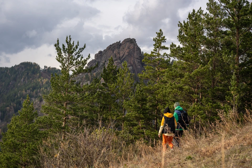 За шесть лет в Карачаево-Черкесии восстановили 600 гектаров лесов0