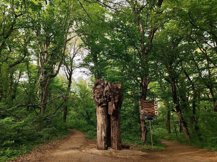 Железноводск вышел в лидеры экотуризма