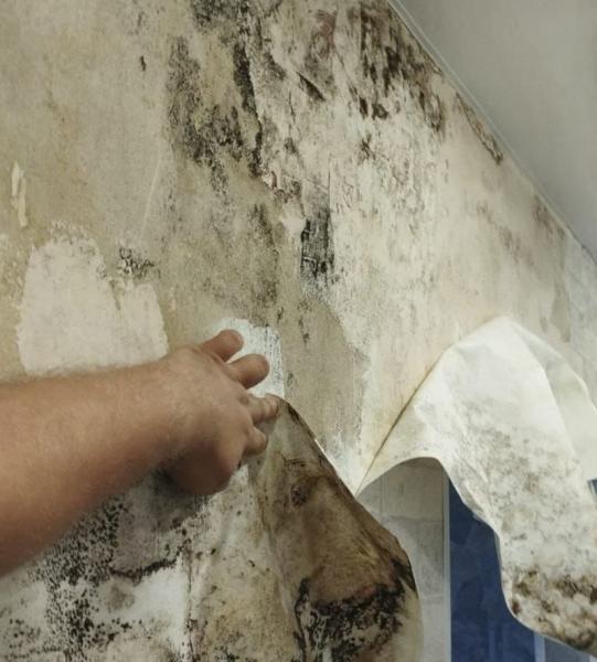 Жильцы многоэтажки в Ставрополе пожаловались на залитие во время капремонта